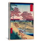 Toto Meguro Yuhigaoka // Yuhigaoka at Meguro in Edo // // Utagawa Hiroshige (26"W x 18"H x 0.75"D)