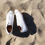 Court Low // White + Steel (US: 9.5)