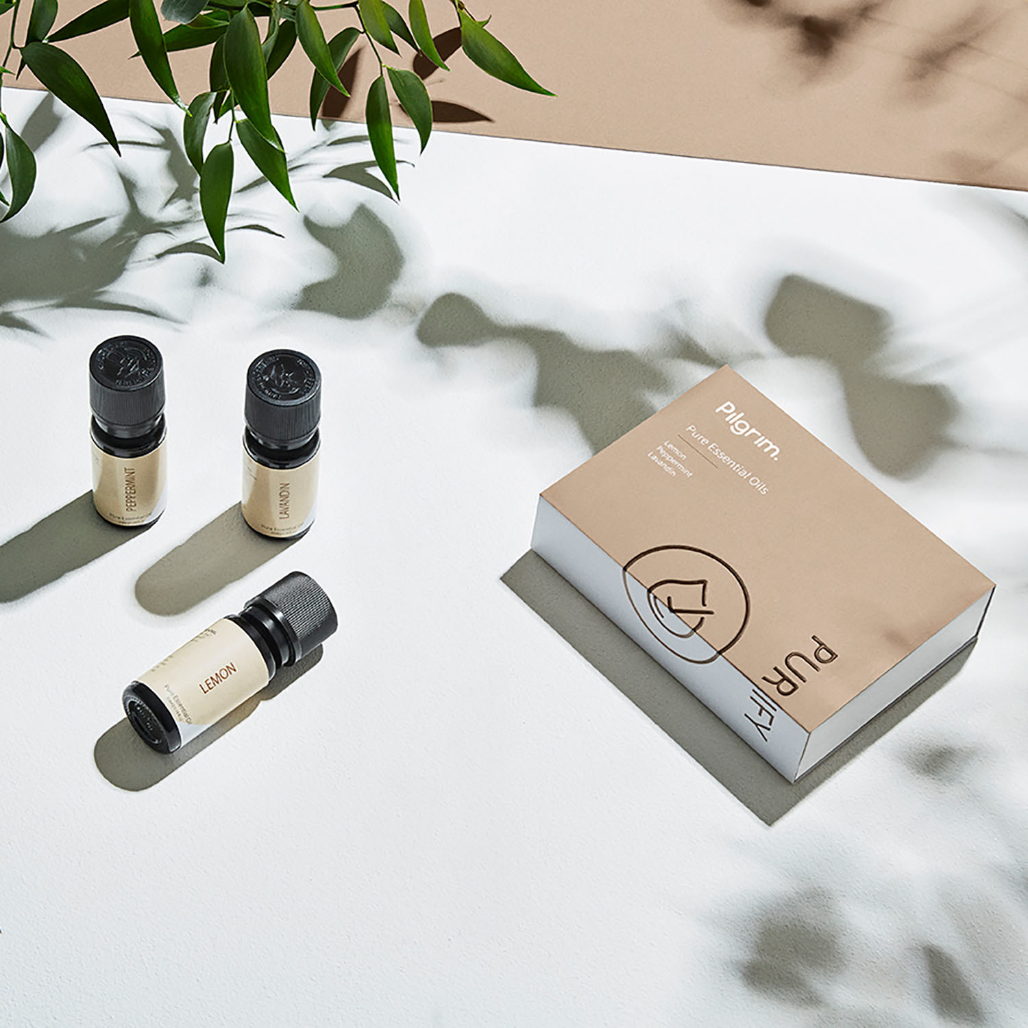 Aromatherapy Kit // Teo + Purify - Pilgrim Collection - Touch of Modern