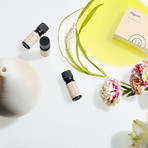 Aromatherapy Kit // Teo + Uplift