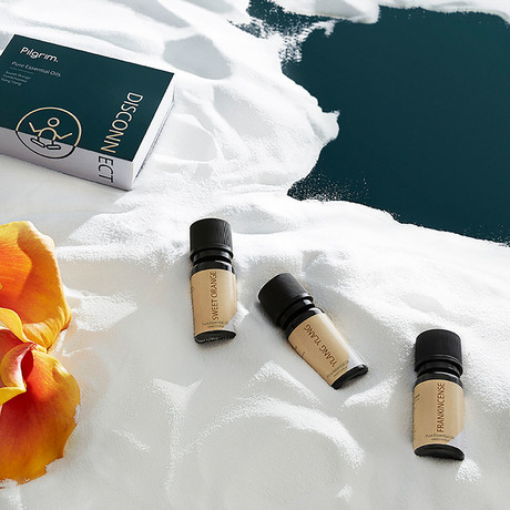 Aromatherapy Kit // Teo + Disconnect