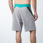 Leo Carillo Boardshorts // Silver + Green (31)