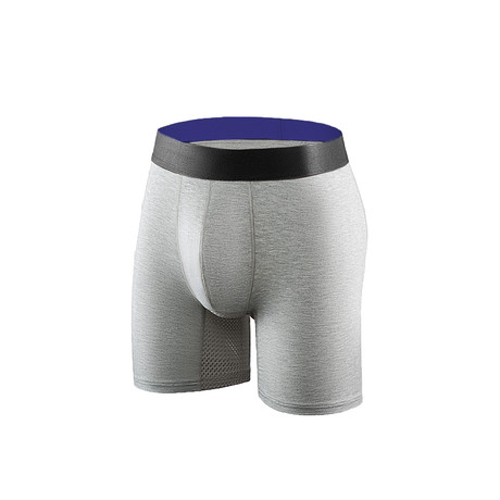 Silver Boxer Briefs 1.0 // Set of 2 // Gray + Purple (XS)