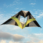 12 ft. Box Delta Kite // Citrus Op Art Bundle