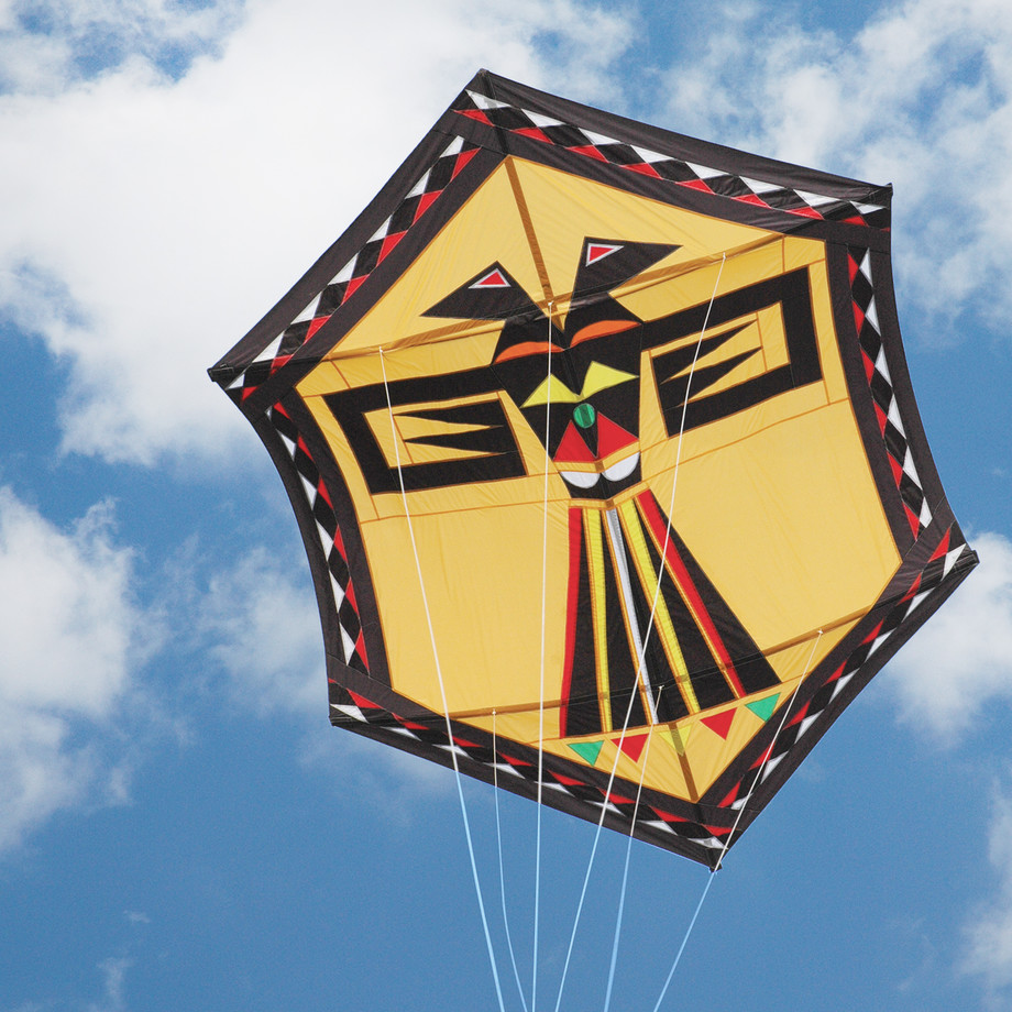 Premier Kites Premium Innovative Kites Touch of Modern