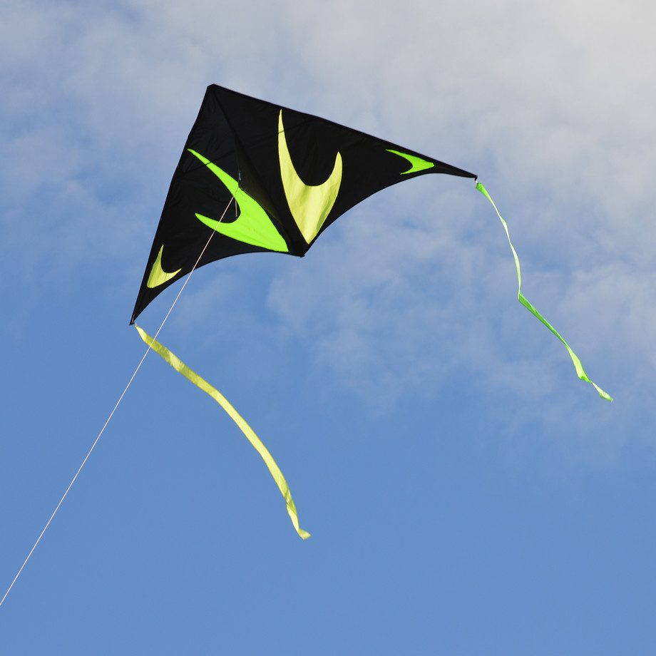 Premier Kites Premium Innovative Kites Touch of Modern
