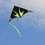 Travel Delta Kite // Circuit