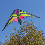 Widow NG Sport Kite // Neon + Gray