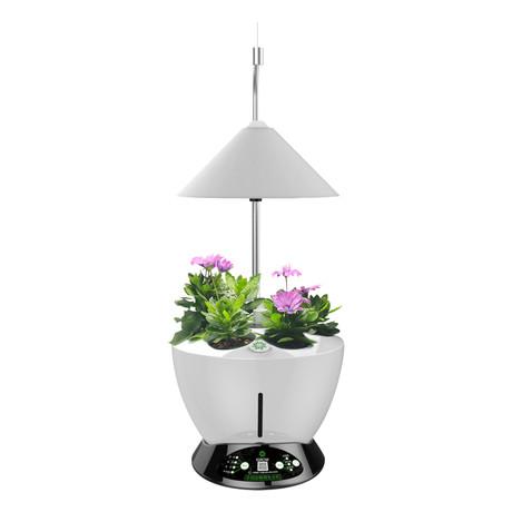 Large Hydroponic Garden