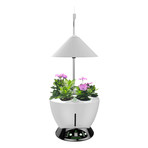 Large Hydroponic Garden