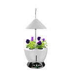 Large Hydroponic Garden