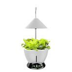 Large Hydroponic Garden