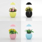 Small Hydroponic Garden (Yellow)