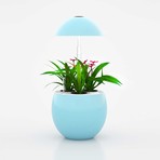 Ad0daf8bd57d0f24659d31aa85fa9124 small