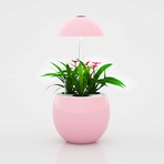 262c79709769c41acab6866e8711c5c3 small