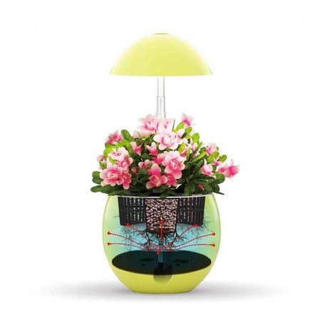 Small Hydroponic Garden (Yellow)