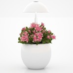 Cd96b55665a0cc3e5d903b7beb199280 small