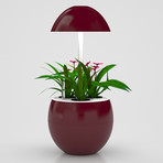 38dae520f2c91234a27aa3f43e72cc69 small