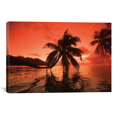 Palm Trees At Sunset, Moorea // Tahiti, French Polynesia II (26"W x 18"H x 0.75"D)
