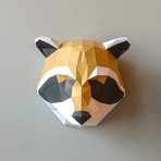 Wall Decor // Raccoon