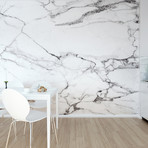 Marble Wall Mural