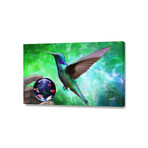 Colibri And The Pisces (24"W x 16"H x 1.5"D)
