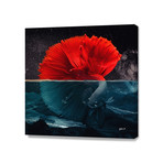 Red Siamese Fighting (16"W x 16"H x 1.5"D)