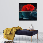 Red Siamese Fighting (16"W x 16"H x 1.5"D)