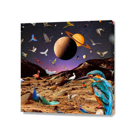 Paradise Birds (16"W x 16"H x 1.5"D)