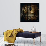 Empty Pool (16"W x 16"H x 1.5"D)