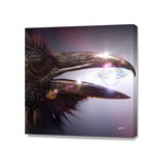 Diamond Raven (16"W x 16"H x 1.5"D)