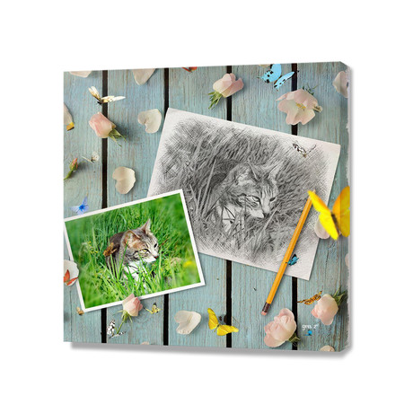 Chataigne Draw (16"W x 16"H x 1.5"D)