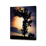 Arbre Burtonien (16"W x 20"H x 1.5"D)