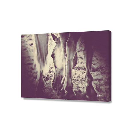 Horseshoes (20"W x 16"H x 1.5"D)