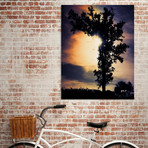 Arbre Burtonien (16"W x 20"H x 1.5"D)