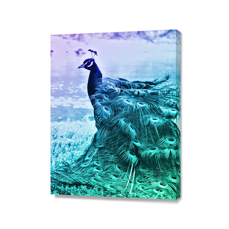 Blue Peacock (16"W x 20"H x 1.5"D)