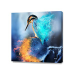 Kingfisher Ice And Fire (16"W x 16"H x 1.5"D)