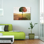 Two Seasons (20"W x 16"H x 1.5"D)