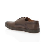 Holden Shoes // Brown (Euro: 43)