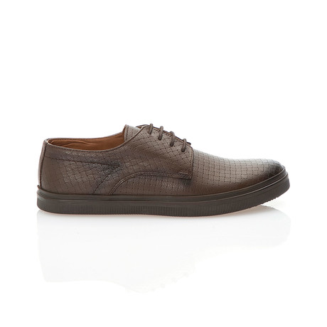 Holden Shoes // Brown (Euro: 40)