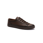 Zane Shoes // Brown (Euro: 40)