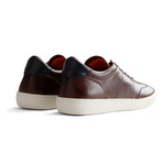 Warren St. Leather // Brown (Euro: 40)