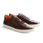 Warren St. Leather // Brown (Euro: 40)