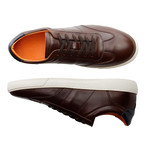 Warren St. Leather // Brown (Euro: 40)