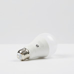 Dusk to Dawn Light Bulb // Pack of 8