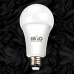 Emergency Power Light Bulb // Pack of 8