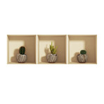 Cactus In Round Vases