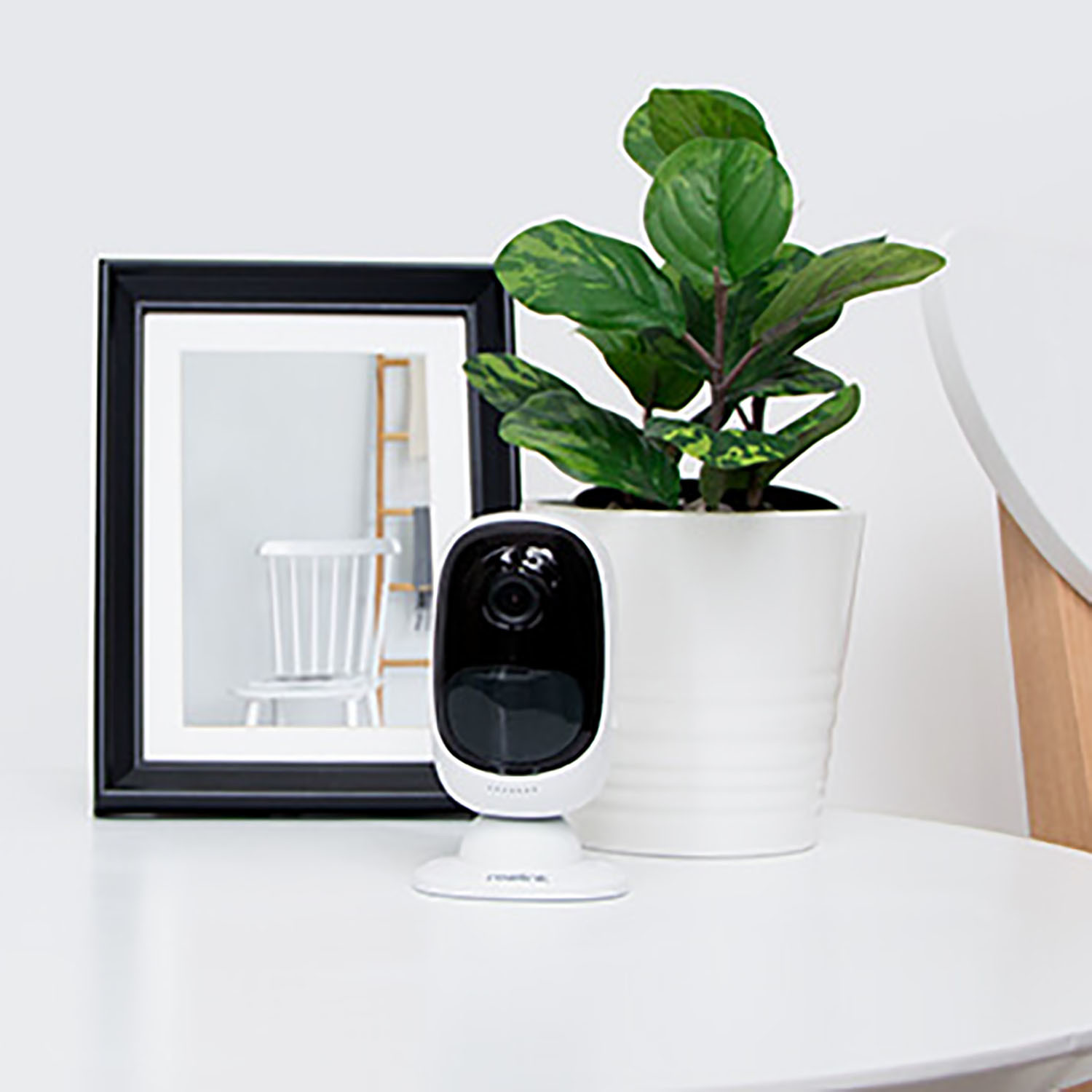 Argus 2 - Argus 2 - Touch of Modern