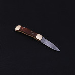 Lock Back Folding Knife // Series 1 // CK-3001