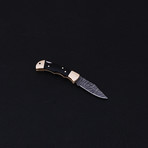 Lock Back Folding Knife // Series 2 // CK-3031